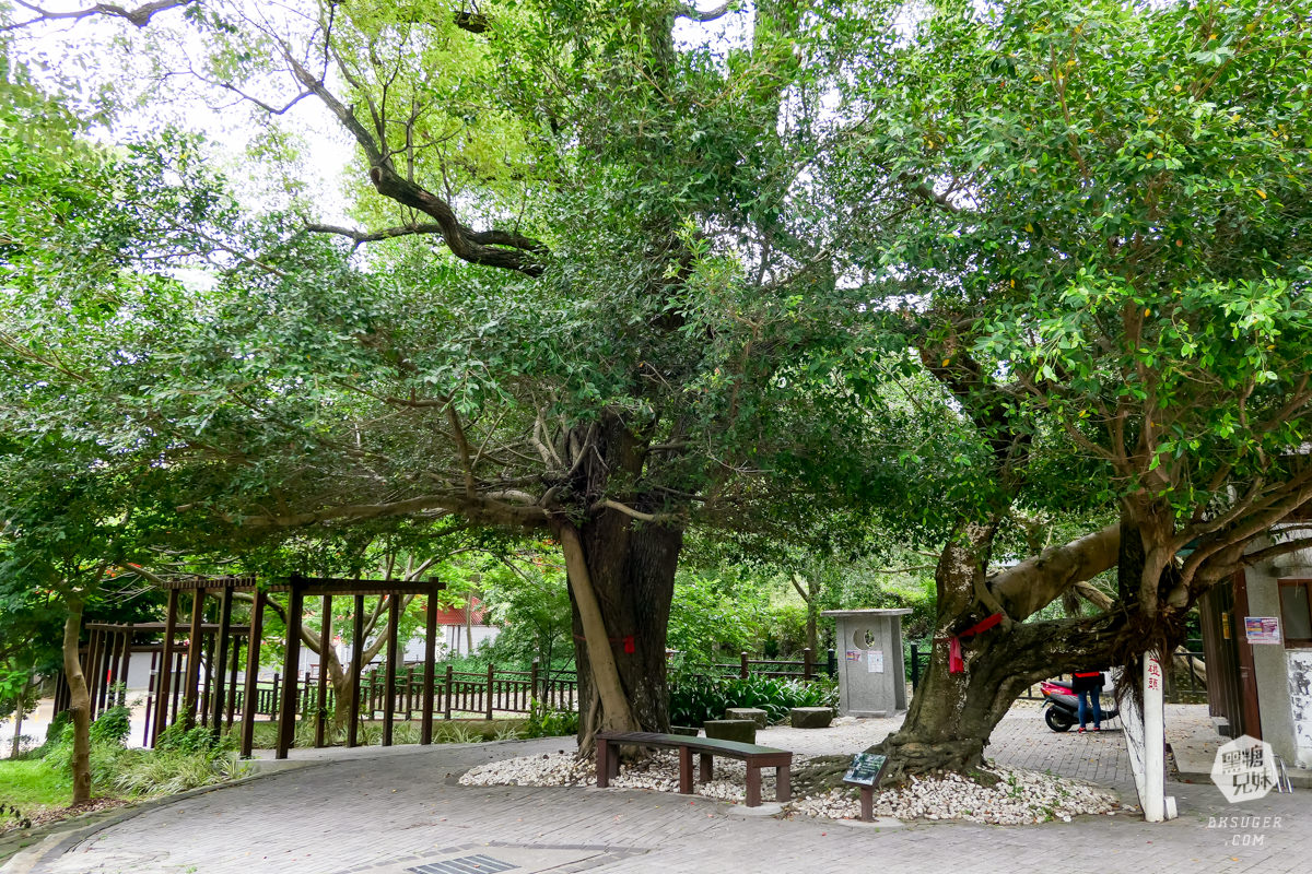 台中山城三天兩夜行程推薦|新社東勢石岡景點懶人包-說走就走的美食景觀一把抓|后豐鐵馬道超好拍照的台中景點 - 第75張圖 台中山城三天兩夜行程推薦|新社東勢石岡景點懶人包-說走就走的美食景觀一把抓|后豐鐵馬道超好拍照的台中景點