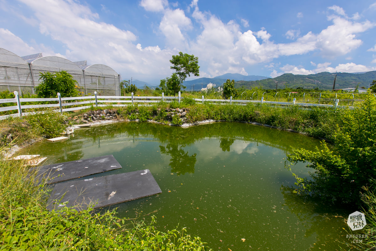 枋寮景點|蘭欣辣汗農場-枋寮景觀餐廳一日遊|天下第1辣在這!!親手採做你的DIY辣椒| - 第9張圖 枋寮景點|蘭欣辣汗農場-枋寮景觀餐廳一日遊|天下第1辣在這!!親手採做你的DIY辣椒|