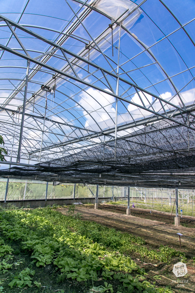 枋寮景點|蘭欣辣汗農場-枋寮景觀餐廳一日遊|天下第1辣在這!!親手採做你的DIY辣椒| - 第53張圖 枋寮景點|蘭欣辣汗農場-枋寮景觀餐廳一日遊|天下第1辣在這!!親手採做你的DIY辣椒|