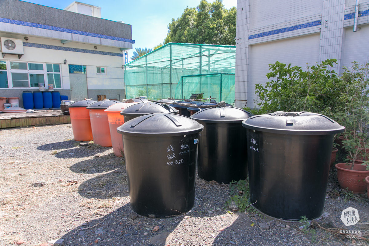 枋寮景點|蘭欣辣汗農場-枋寮景觀餐廳一日遊|天下第1辣在這!!親手採做你的DIY辣椒| - 第40張圖 枋寮景點|蘭欣辣汗農場-枋寮景觀餐廳一日遊|天下第1辣在這!!親手採做你的DIY辣椒|