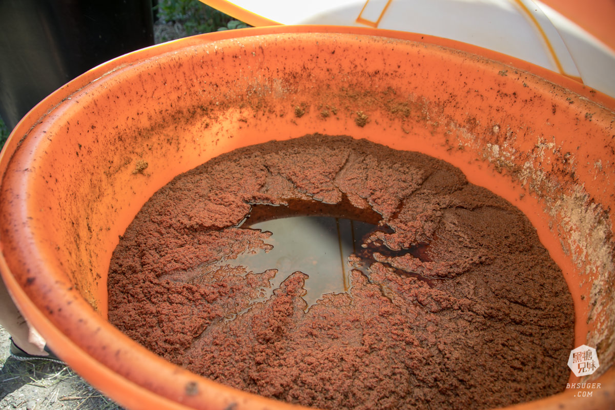 枋寮景點|蘭欣辣汗農場-枋寮景觀餐廳一日遊|天下第1辣在這!!親手採做你的DIY辣椒| - 第41張圖 枋寮景點|蘭欣辣汗農場-枋寮景觀餐廳一日遊|天下第1辣在這!!親手採做你的DIY辣椒|