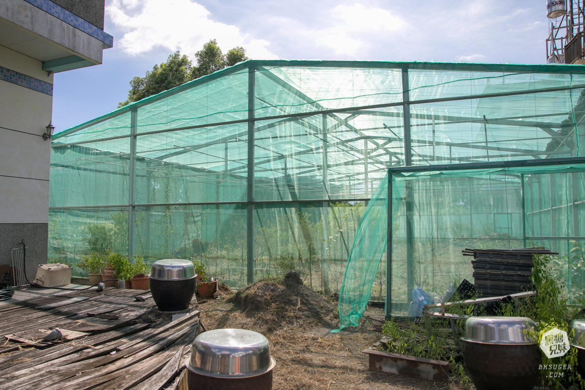 枋寮景點|蘭欣辣汗農場-枋寮景觀餐廳一日遊|天下第1辣在這!!親手採做你的DIY辣椒| - 第39張圖 枋寮景點|蘭欣辣汗農場-枋寮景觀餐廳一日遊|天下第1辣在這!!親手採做你的DIY辣椒|