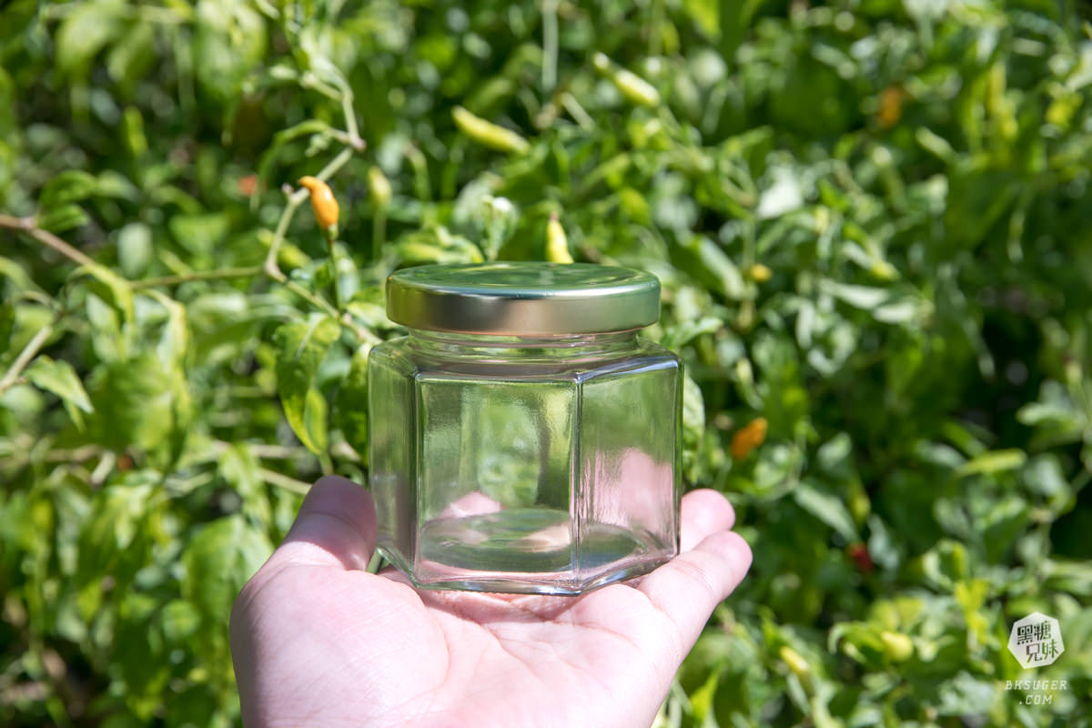 枋寮景點|蘭欣辣汗農場-枋寮景觀餐廳一日遊|天下第1辣在這!!親手採做你的DIY辣椒| - 第42張圖 枋寮景點|蘭欣辣汗農場-枋寮景觀餐廳一日遊|天下第1辣在這!!親手採做你的DIY辣椒|