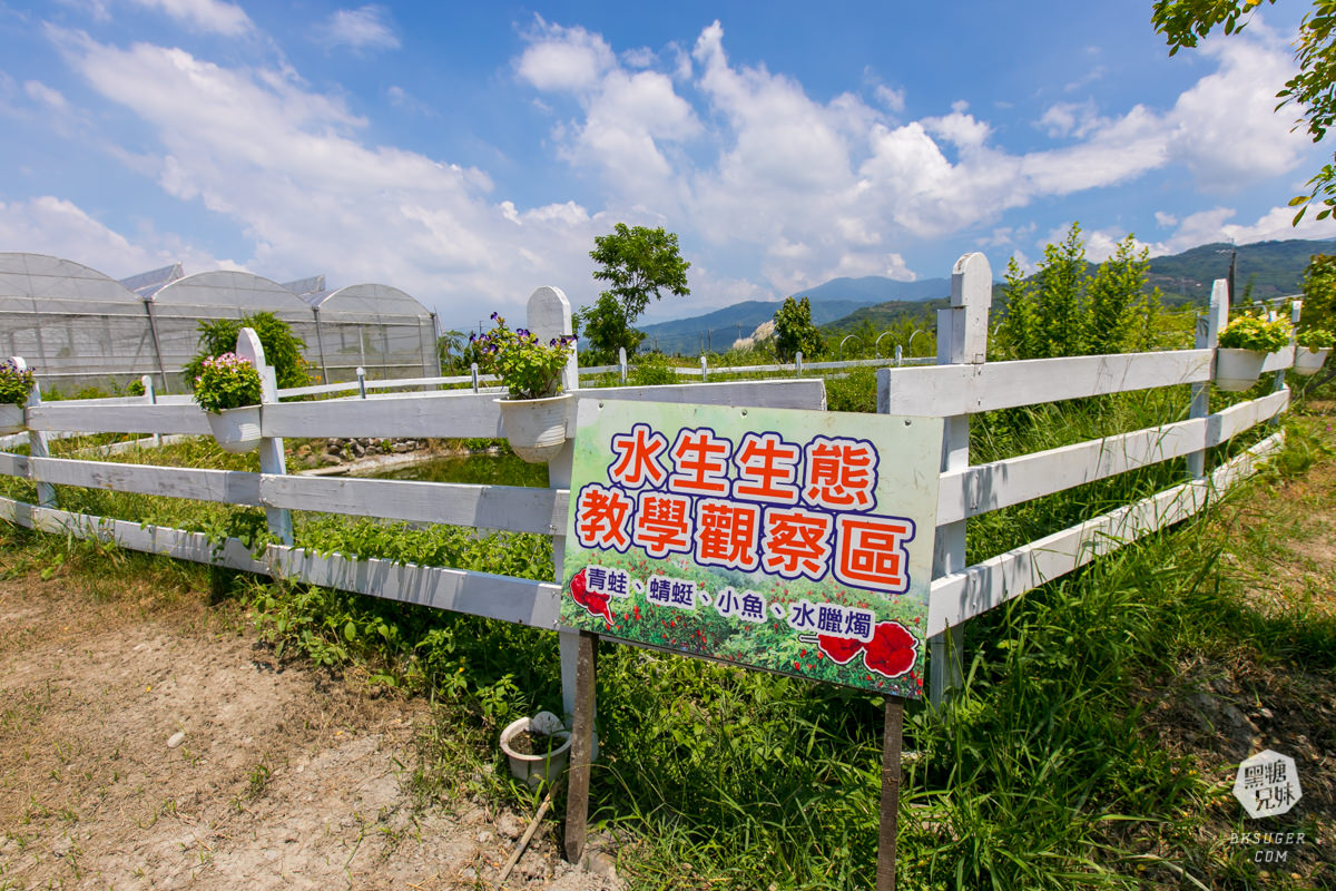 枋寮景點|蘭欣辣汗農場-枋寮景觀餐廳一日遊|天下第1辣在這!!親手採做你的DIY辣椒| - 第8張圖 枋寮景點|蘭欣辣汗農場-枋寮景觀餐廳一日遊|天下第1辣在這!!親手採做你的DIY辣椒|