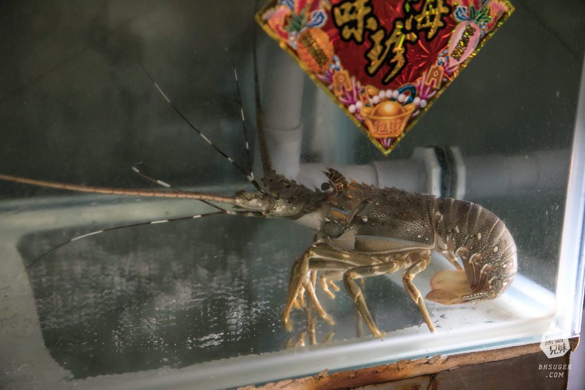 林園美食|1415水母貨櫃咖啡|經典龍虎斑一魚多吃|林園濕地公園旁的咖啡雅座、在地KTV練唱場| - 第8張圖 林園美食|1415水母貨櫃咖啡|經典龍虎斑一魚多吃|林園濕地公園旁的咖啡雅座、在地KTV練唱場|
