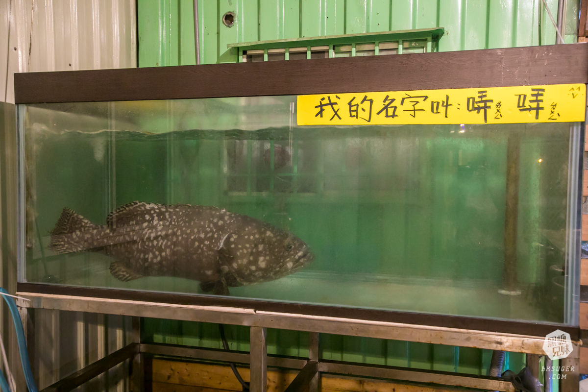 林園美食|1415水母貨櫃咖啡|經典龍虎斑一魚多吃|林園濕地公園旁的咖啡雅座、在地KTV練唱場| - 第9張圖 林園美食|1415水母貨櫃咖啡|經典龍虎斑一魚多吃|林園濕地公園旁的咖啡雅座、在地KTV練唱場|