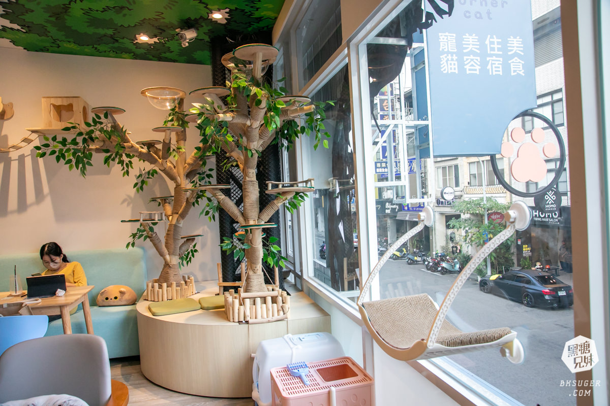 高雄貓咪咖啡廳|角落有貓coffee|超跩三花貓咖啡、喵掌蛋糕手作土司|超療癒貓咪陪伴你用餐 - 第43張圖 高雄貓咪咖啡廳|角落有貓coffee|超跩三花貓咖啡、喵掌蛋糕手作土司|超療癒貓咪陪伴你用餐