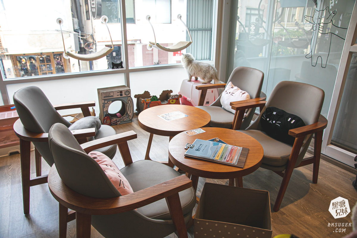 高雄貓咪咖啡廳|角落有貓coffee|超跩三花貓咖啡、喵掌蛋糕手作土司|超療癒貓咪陪伴你用餐 - 第20張圖 高雄貓咪咖啡廳|角落有貓coffee|超跩三花貓咖啡、喵掌蛋糕手作土司|超療癒貓咪陪伴你用餐