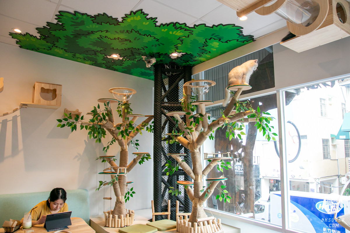 高雄貓咪咖啡廳|角落有貓coffee|超跩三花貓咖啡、喵掌蛋糕手作土司|超療癒貓咪陪伴你用餐 - 第21張圖 高雄貓咪咖啡廳|角落有貓coffee|超跩三花貓咖啡、喵掌蛋糕手作土司|超療癒貓咪陪伴你用餐