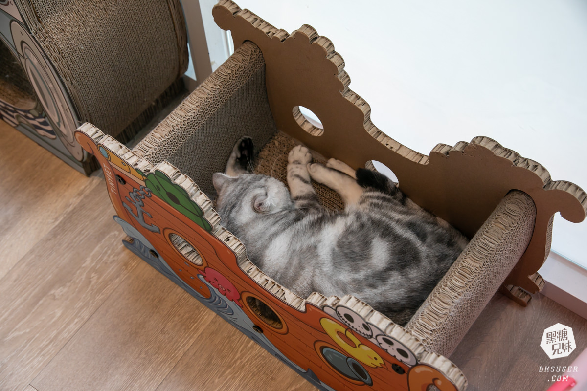 高雄貓咪咖啡廳|角落有貓coffee|超跩三花貓咖啡、喵掌蛋糕手作土司|超療癒貓咪陪伴你用餐 - 第14張圖 高雄貓咪咖啡廳|角落有貓coffee|超跩三花貓咖啡、喵掌蛋糕手作土司|超療癒貓咪陪伴你用餐