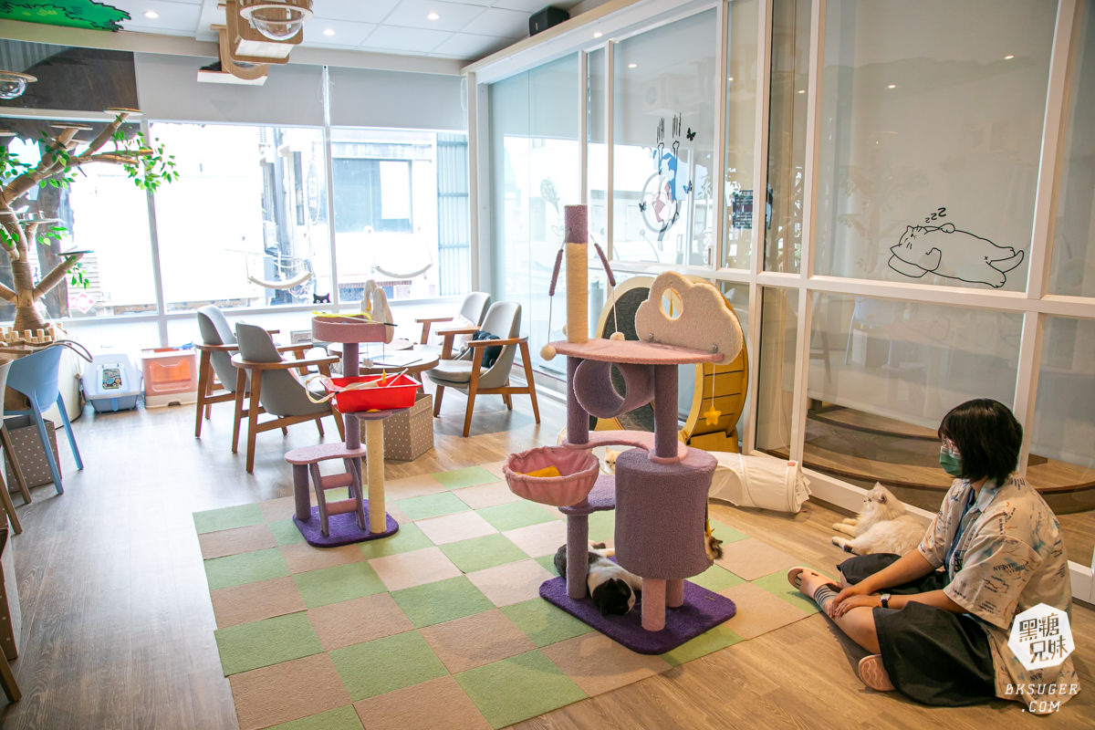 高雄貓咪咖啡廳|角落有貓coffee|超跩三花貓咖啡、喵掌蛋糕手作土司|超療癒貓咪陪伴你用餐 - 第18張圖 高雄貓咪咖啡廳|角落有貓coffee|超跩三花貓咖啡、喵掌蛋糕手作土司|超療癒貓咪陪伴你用餐