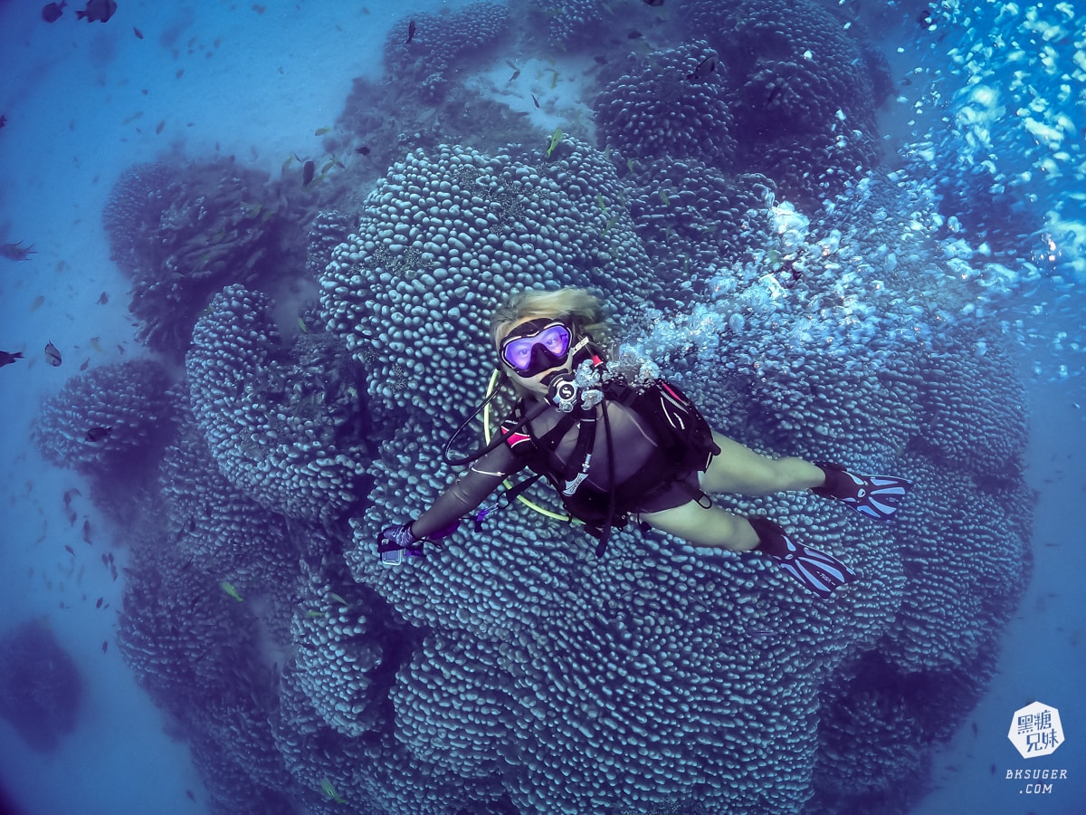 心海潛水|淨海淨灘寓教於樂!恆春浮潛、潛水體驗推薦|SUP立槳大人小孩輕鬆的水域遊樂 - 第14張圖 心海潛水|淨海淨灘寓教於樂!恆春浮潛、潛水體驗推薦|SUP立槳大人小孩輕鬆的水域遊樂